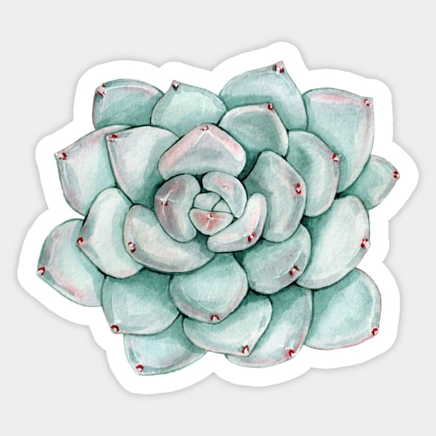 Watercolor succulent cactus Sticker by SouthPrints